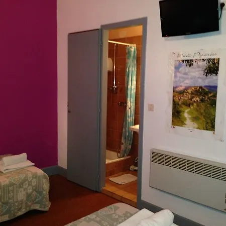 Hotel De Geneve Lourdes